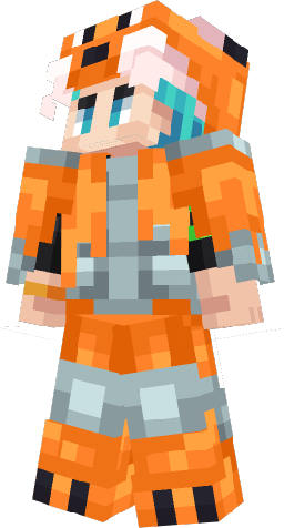 Armor Set portfolio example